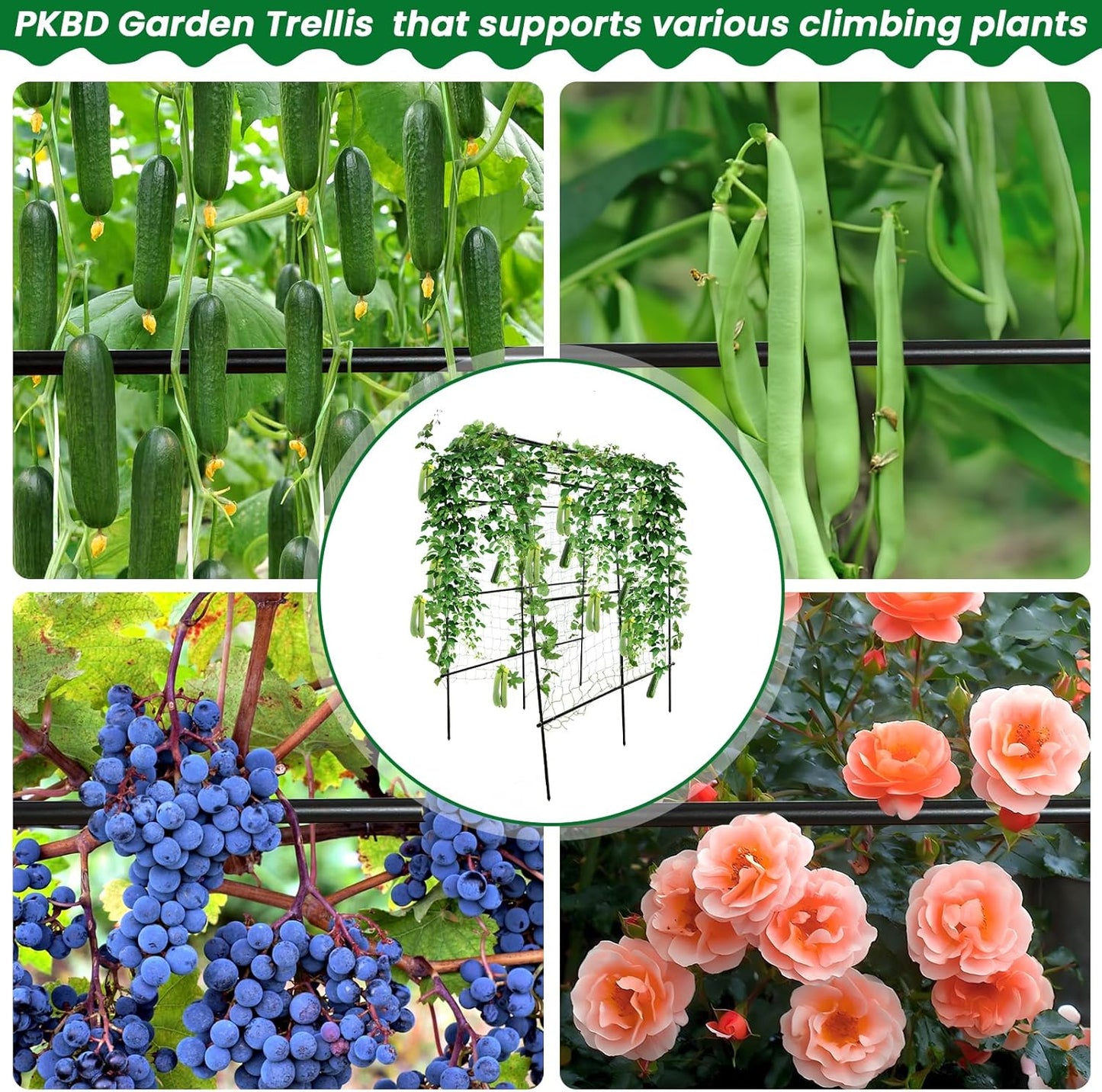 Tall Garden Arch Trellis for Climbing Plants Outdoor, 7.5 ft Tall Polyethylene-Coated Stainless Steel Garden Arch for Climbing Vine Vegetable/Fruit/Flower, Cucumber Trellis for Raised Bed, Black