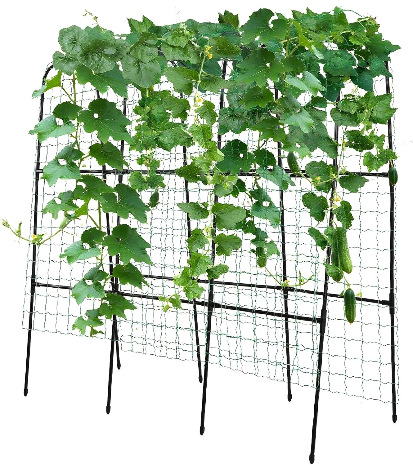 Tall Garden Arch Trellis for Climbing Plants Outdoor, 7.5 ft Tall Polyethylene-Coated Stainless Steel Garden Arch for Climbing Vine Vegetable/Fruit/Flower, Cucumber Trellis for Raised Bed, Black
